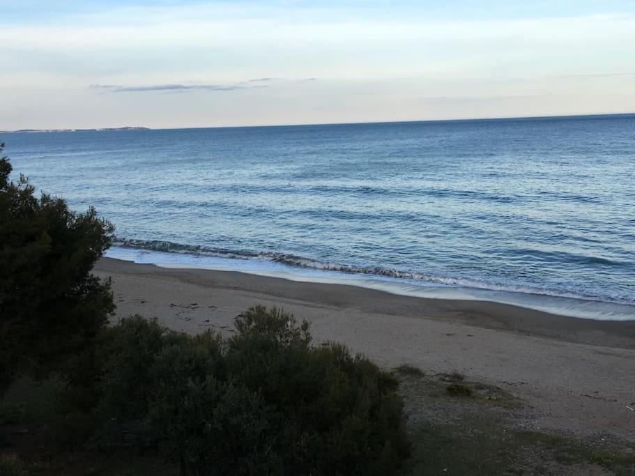 Beach-Lovers - Apartamento 1Era Linia Mar Miami Playa Bagian luar foto